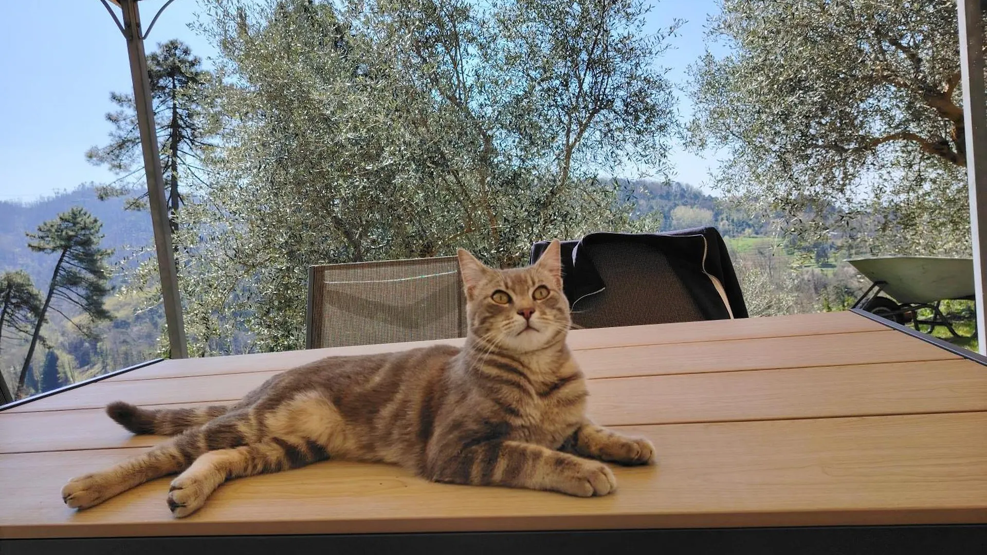 Rustico Lo Scarpone Villa Camaiore Olaszország